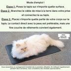 Tapis de mise à la terre
